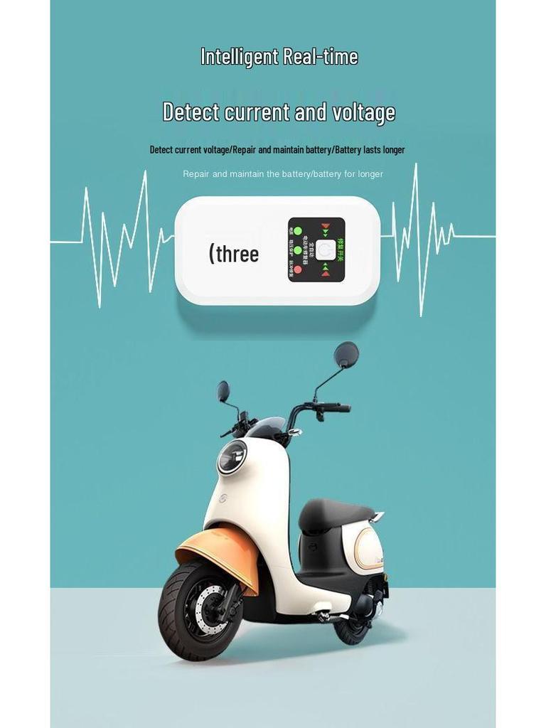Universal Smart Electric Vehicle Battery Charger and Activator (48V-96V)