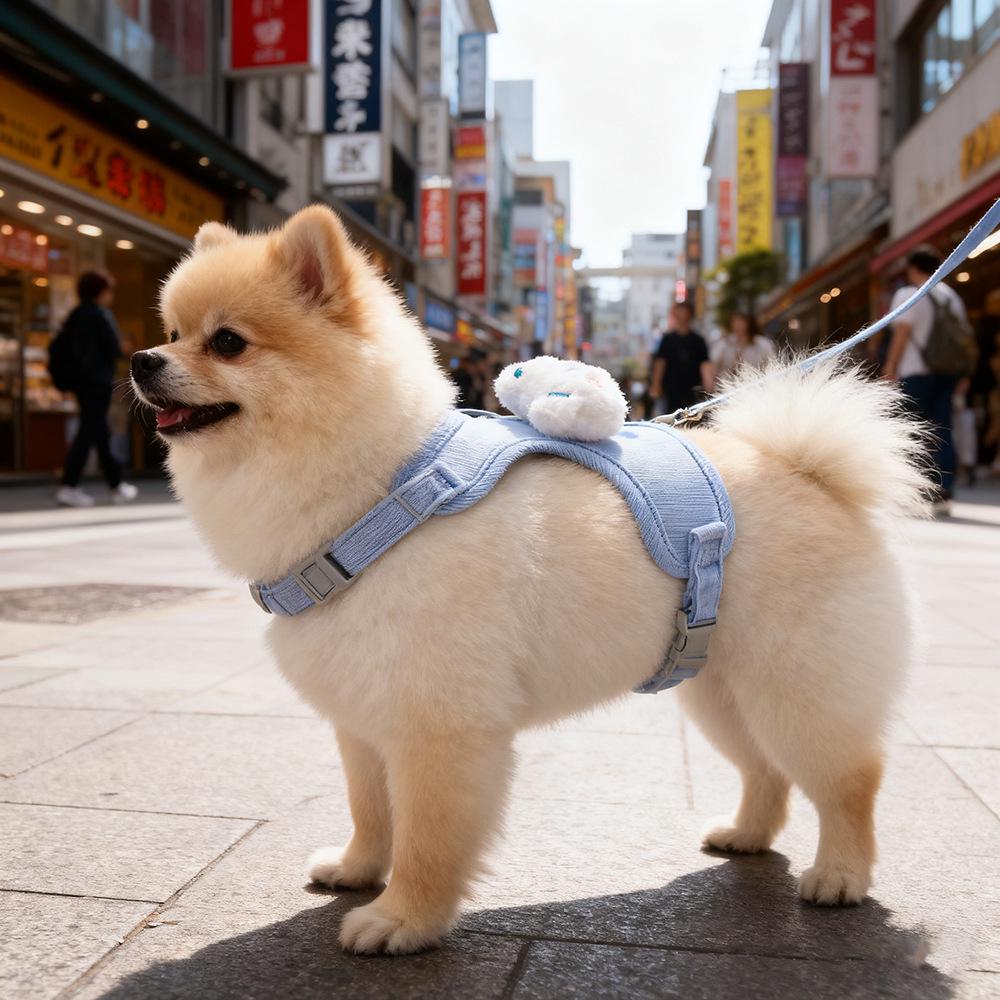 Guinzaglio stile pettorina per animali domestici: Imbracatura per Gatti e Cani Piccoli per Passeggiate