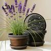 Resin Planters for Bulbs Bulb Plant Pot with Saucer, 10 Inch 13 Wide Flowerpot Durable Garden Pots Tulips Drainage Holes, Indoor Outdoor Planter