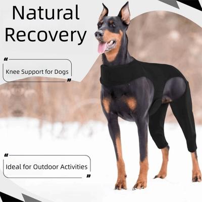 Verstellbarer Hundebein-Rehabilitationsanzug Atmungsaktiver Anti-Leck-Haustier-Erholungsanzug Bequeme Passform Hunde-Kniebandage