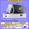 SAST High-Fidelity Commercial Wall/Ceiling Speaker System (CN Version)
