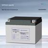 Leoch DJW12-24S 12V 24Ah Power Storage Battery