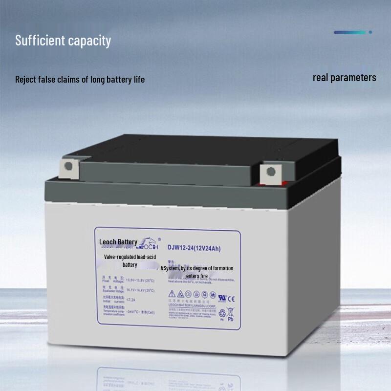 Leoch DJW12-24S 12V 24Ah Power Storage Battery