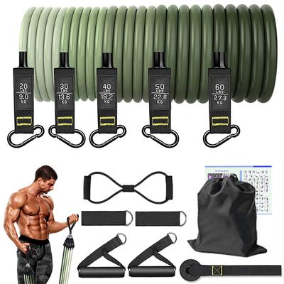 Set da 12 pezzi Bande di Resistenza per Bodybuilding Bande Elastiche per Esercizio Uomini Donne Allenamento Muscolare e di Forza Bande Fitness Attrezzatura da Palestra