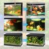 Wasserklärer Für Fischbecken Sicherer Wasserklärer Aquariumreiniger & Fischbeckenspüler Verbessert die Wasserqualität Für Gesunde