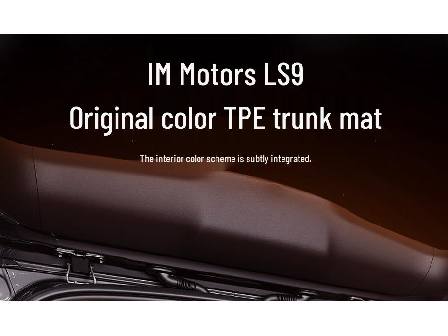 Zhiji LS9 TPE26 Trunk Mat & Car Floor Accessories