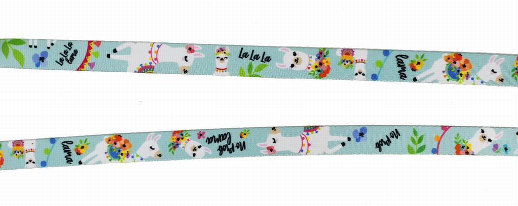 Reversible Leash 2cm x 240cm Lama