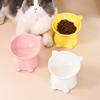 Ceramic Cat Bowl Anti Spill Elevated Cat Food Dish Slanted Design Neck Protection Pet Feeding Bowl