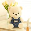 Overalls Bear Doll Cute Bear Plush Toy Children's Accompanying Ragdoll Sleeping Carrying Pillow