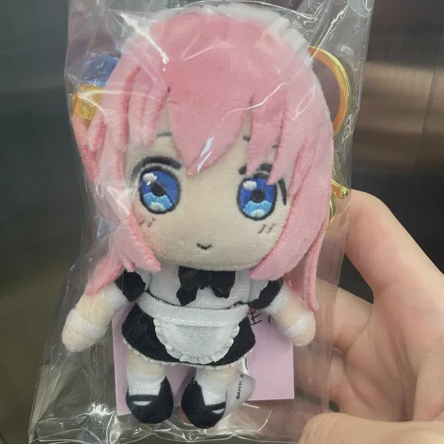 

Botch The Rock Botch Maid s Sister