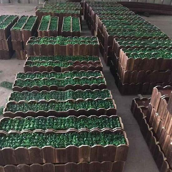 Artificial Bamboo Partition Screen with Encrypted Plastic for Indoor Floor Decoration