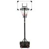 Transparent Basketball Stand 216 250 Cm Polycarbonate
