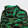 Adidas Neo Graphic Print Drawstring Hoodie Sweatshirt With Long Sleeves Unisex Tops Smoke-Green IQ0932