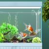 Aquarium Feeding Tube Fish Shrimp Acrylic Feeder Fish Tank Precise Feeding Tool Anti-stuck Fish Design Clear Fish Food Dispenser