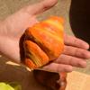 Slow Rising Croissant Squishy Toy Sticky Food Soft Rebound Toys Artificial Bread Fake  Kids Adults