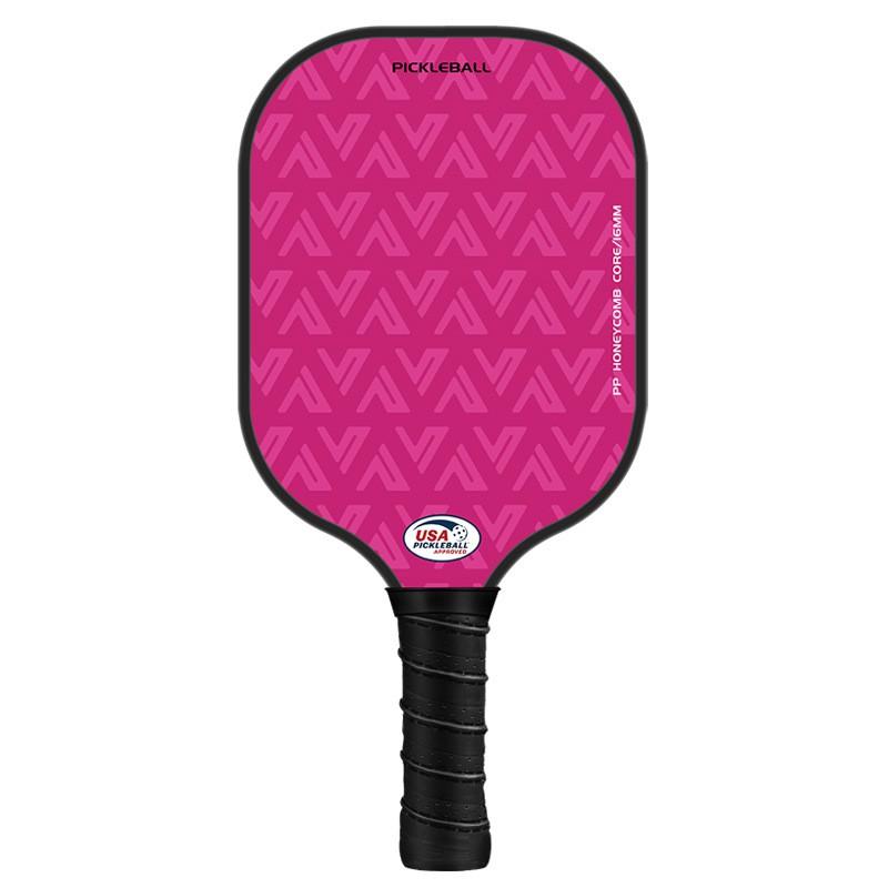Fiberglass Pickleball Paddle Set Professional Intermediate Racket With Balls