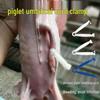 Disposable Umbilical Cord Clamp for Piglets, Dogs, Cows, Horses, and Sheep - Free Shipping