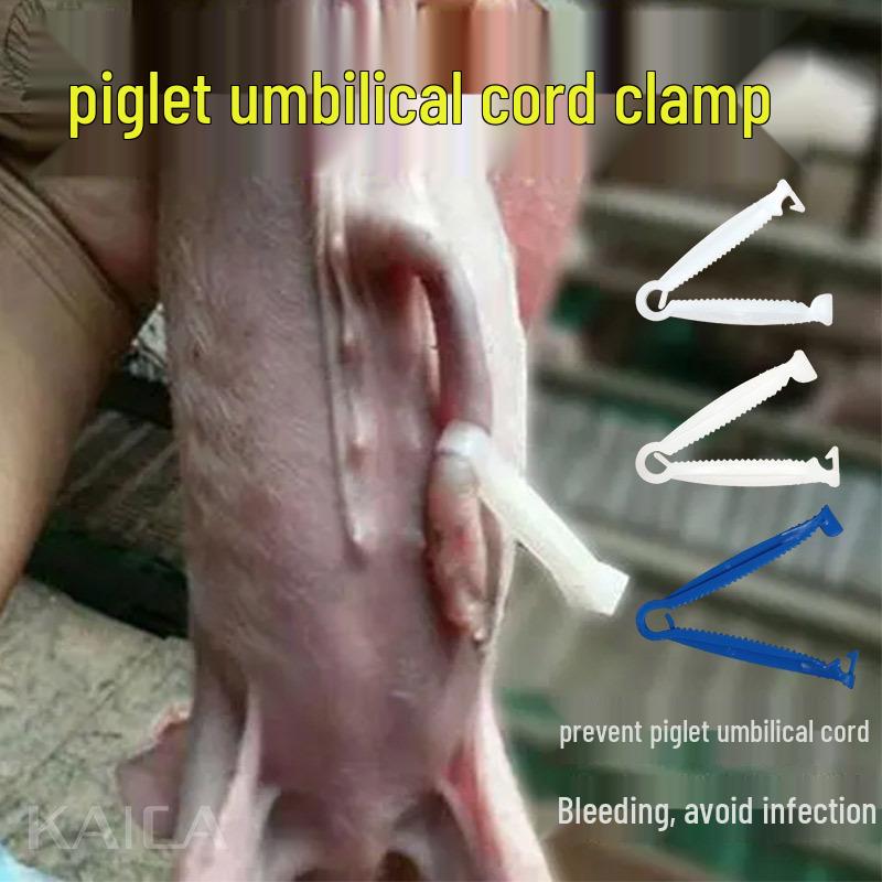 Disposable Umbilical Cord Clamp for Piglets, Dogs, Cows, Horses, and Sheep - Free Shipping