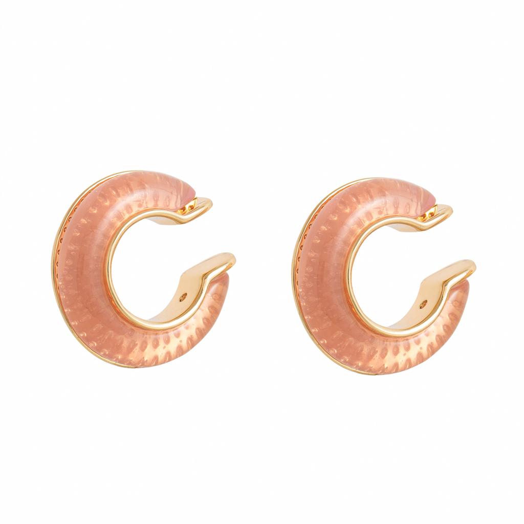 Dopamine Ring Ear Bone Clip Earrings for Women, Niche Temperament, Versatile Design