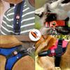 Classic Pet for AirTag Protective Case GPS Finder Dog Cat Collar Loop for Apple Airtags for Apple Locator Tracker Anti-lost Device