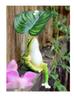 Frosch Regenschirm Schmuckstück Außenbereich Garten Hof Fischbecken Dekoration Balkon Eingang Handwerk Desktop Miniatur
