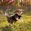 Pumpkin Print Pet Wizard Dress Big Bow Decor Pet Puff Sleeve Skirt  Halloween Party