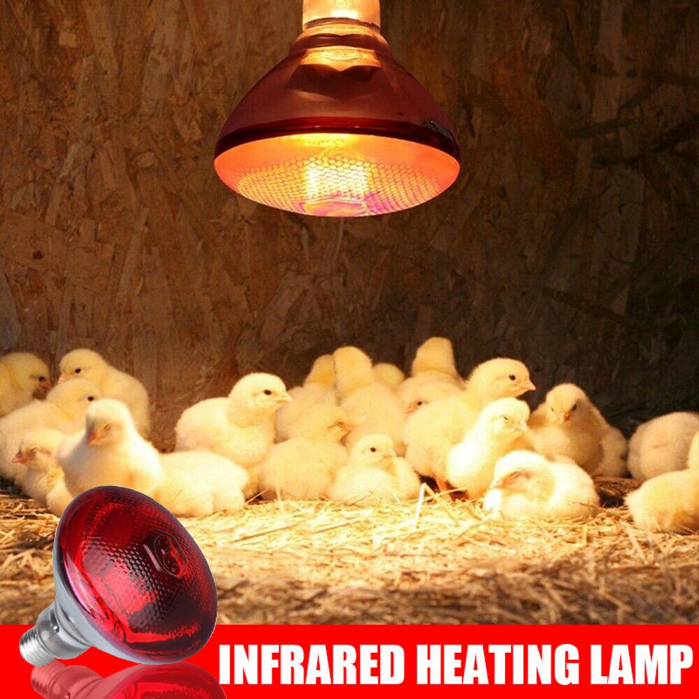 220V Poultry Heat Lamp Bulb Infrared Ray Thermal Preservation Heating Service For Reptile Botany Amphibian Pet Livestock