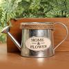 Vintage Letters Engraved Garden Bonsai Plant Flower Iron Watering Can Pot Kettle for Garden Small Garden Tools Supplies