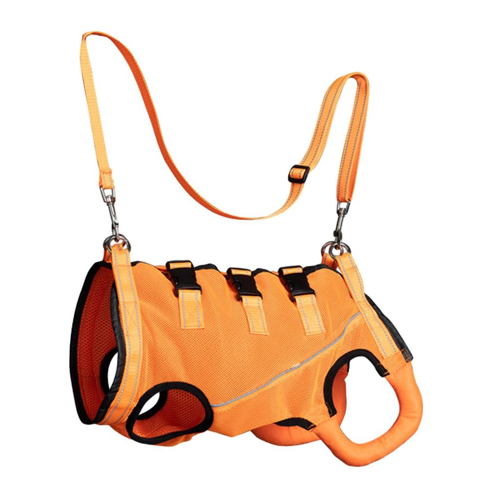 Adjustable Dog Support Harness for Senior Pets with Joint Issues