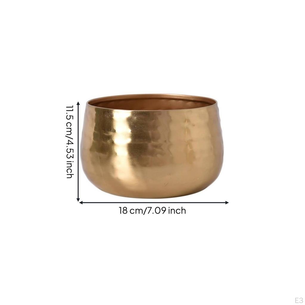 Vase Planter Round Decorative Modern for Living Room
