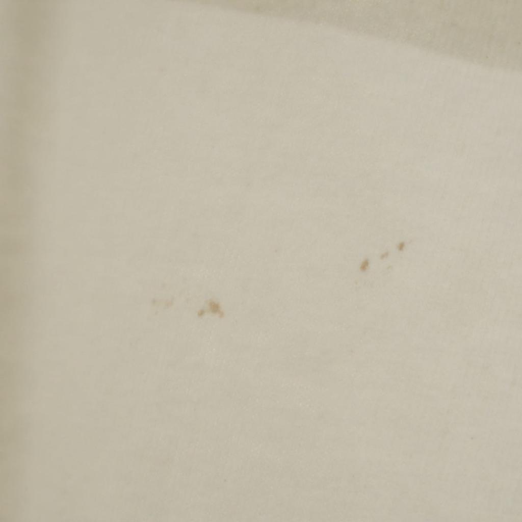 FRUIT OF THE LOOM 90s Made In USA Old Short Sleeve T-shirt Single Stitch Men's Used