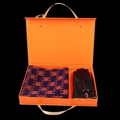 Silk Scarf and Leather Gloves Gift Set