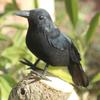 3PCS Halloween Crow Ornaments Handmade Crow Props Outdoor Scary Artificial Black Feathered Brid Ornaments for Yard Garden Party Bar Creepy Decoration