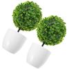 2 Pcs Potted Bushes Home Decor Artificial Plants Indoor Small for Decoration Bookshelf