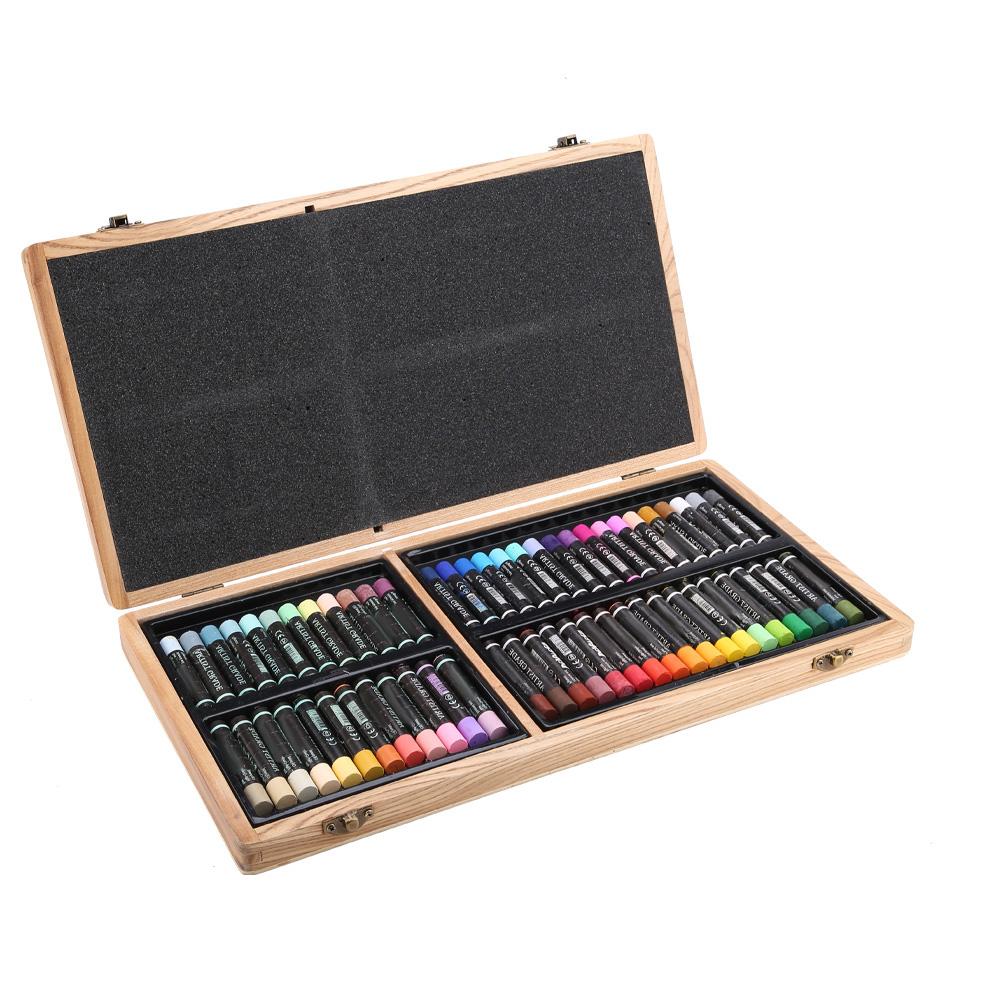Delgreen 60 Colors Heavy Oil Pastel Oil Painting Stick Fine Art Painting Crayon Set
