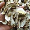 Yunnan Specialty Dried Boletus Slices - Fresh and Delicious Raw Ingredients