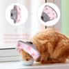 Anti-Bite Cat Recovery Collar Lightweight Elizabethan Collar New Pet Cone Collar  for After Surgery