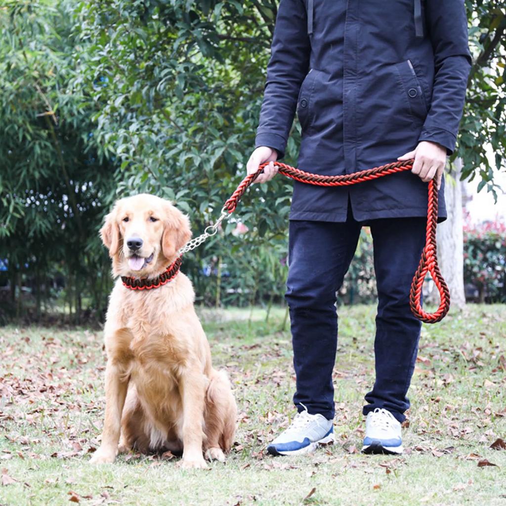 Dog Leash Heavy Duty Thickened Bite Resistant Nylon Pet Traction Leash For Medium Dog Walking Training 4.2ft