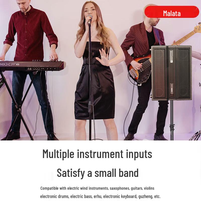 Malata M+9580 Portable High-Power Instrument Speaker (CN Version)