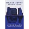 Feeling and Knowing: Making Minds Conscious
