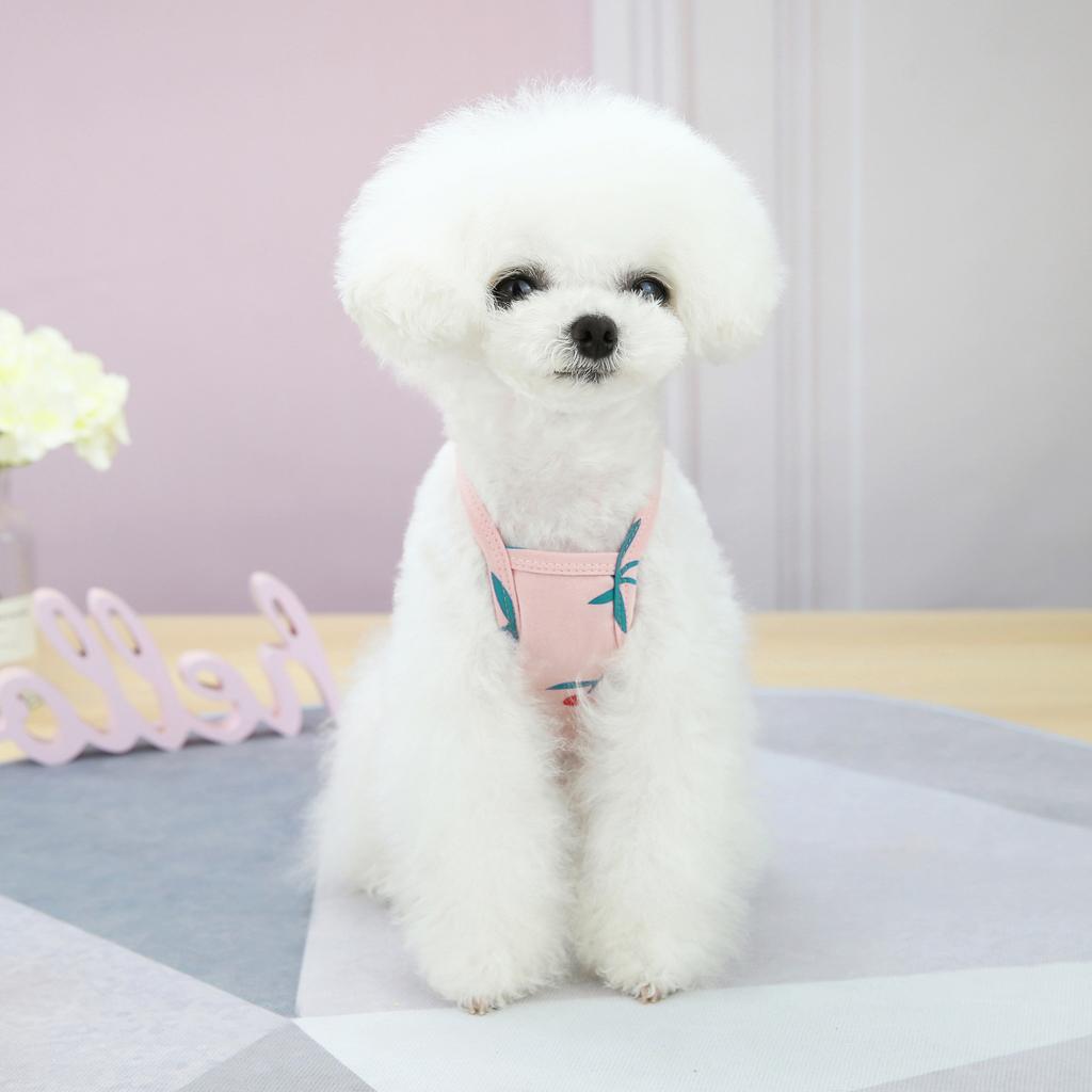 Pet Dog Clothes Spring and Summer Thin Teddy Bichon Pomeranian Yorkshire Terrier Small Dog Cat Vest Cherry Suspender