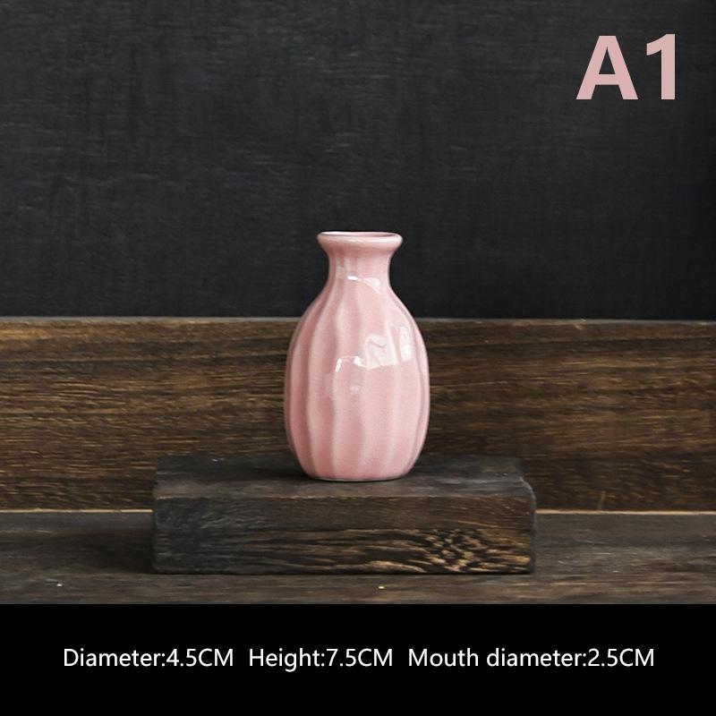 

Ins Керамическая ваза для цветов Nordic Hydroponics Вазы Креативный декор комнаты Мини-цветы Растения Бутылочные горшки Настольное украшение Цветная ваза