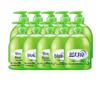 Blue Moon Aloe Vera Antibacterial Hand Wash (10-Pack)