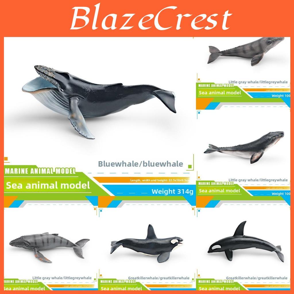 Kinder Meeresbewohner PVC Modellset mit realistischen Wal- und Delfinfiguren für pädagogisches Spiel