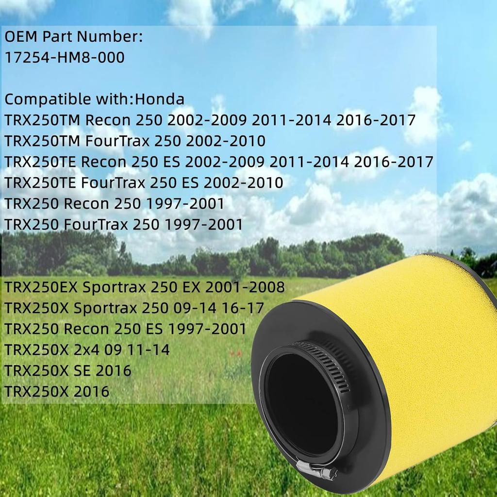 Road Passion 17254-HM8-000 Air Filters Replacement for Honda TRX250EX Sportrax 250 EX 2001-2008/ TRX250X Sportrax 250 2009-2014 2016-2017/ TRX250