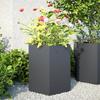 VidaXL Planters 2 Pcs Anthracite Hexagon 46x40x45 Cm Steel, Flower Planter, Patio Planter, Planter of 851113