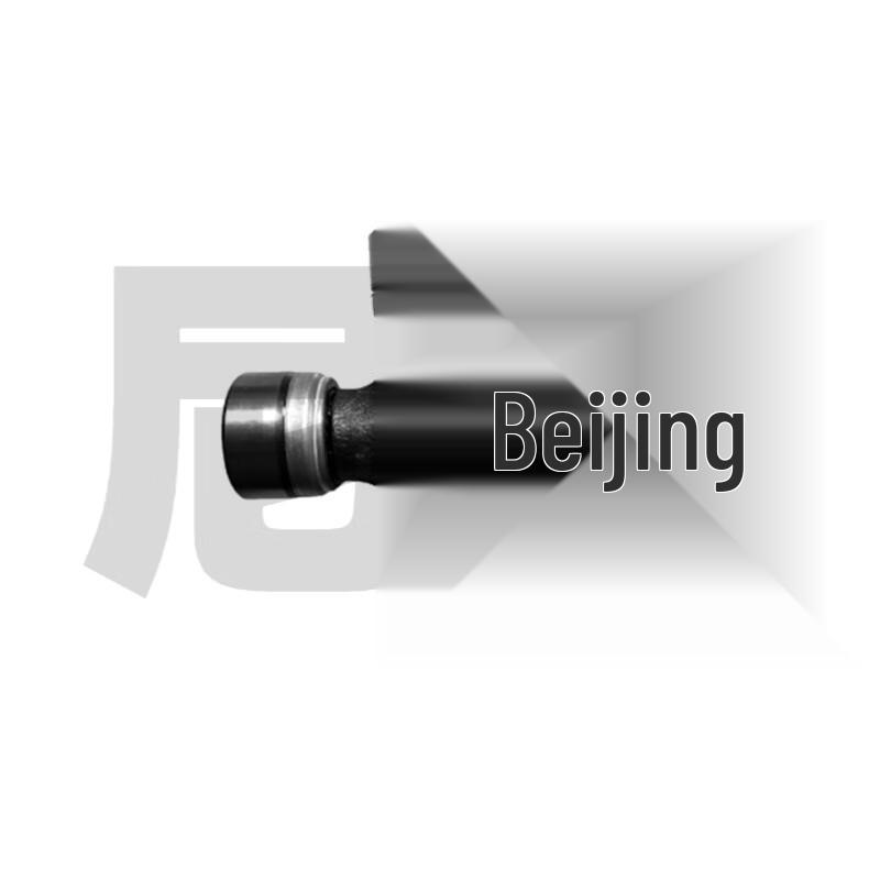 Nijing Universal Joint Cross Shaft