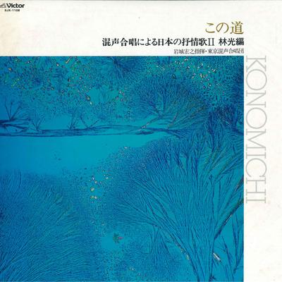 LP Record HIROYUKI IWAKI - Hikaru Hayashi: This Path / Japanes SJX1108 VICTOR 1980 Japan Classical Used