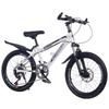 Children's Mountain Bike: Variable Speed, Disc Brake, Ages 6-12, Suitable for Boys, Girls, and Teens