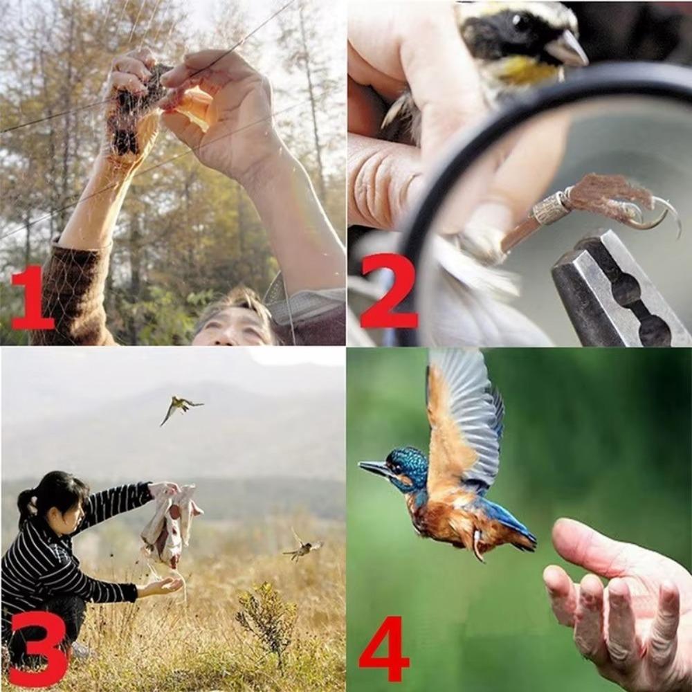 6-30m Nylon Net Plastic Anti Bird Catcher Netting Fruit Tree Flower Garden Mesh  Pest Control Tool